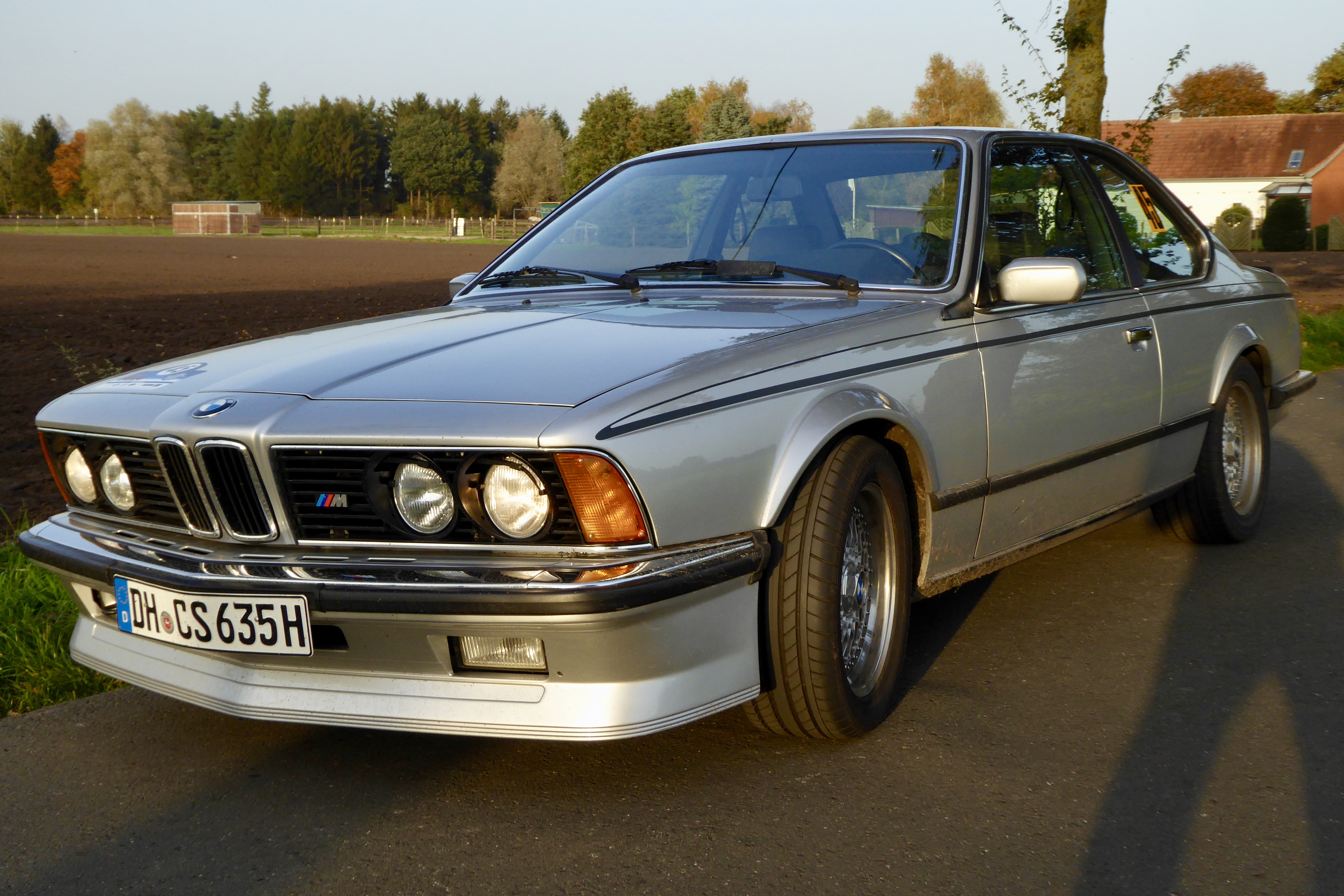P1000581.jpg