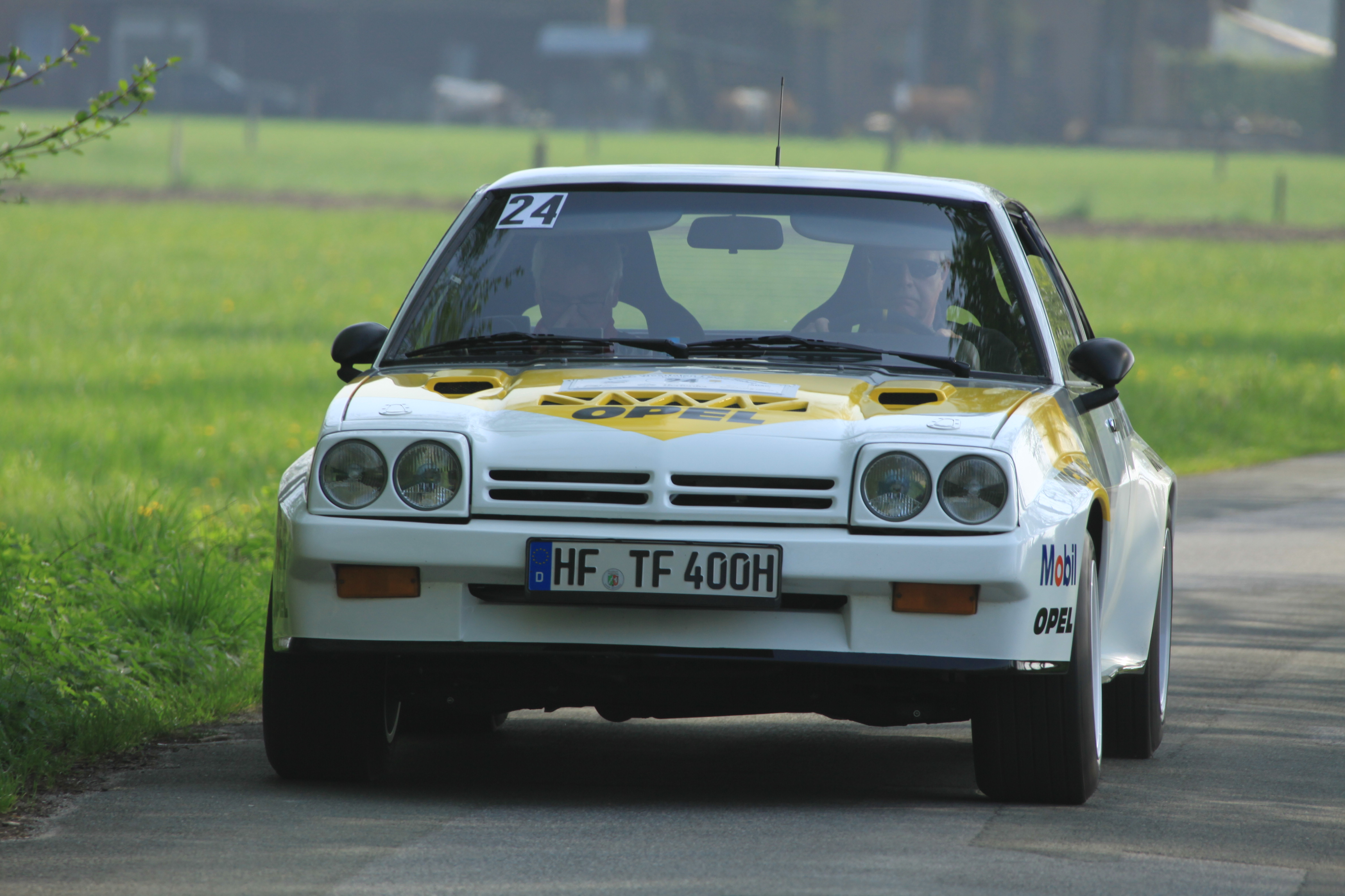 DGS-Pic_0343.JPG