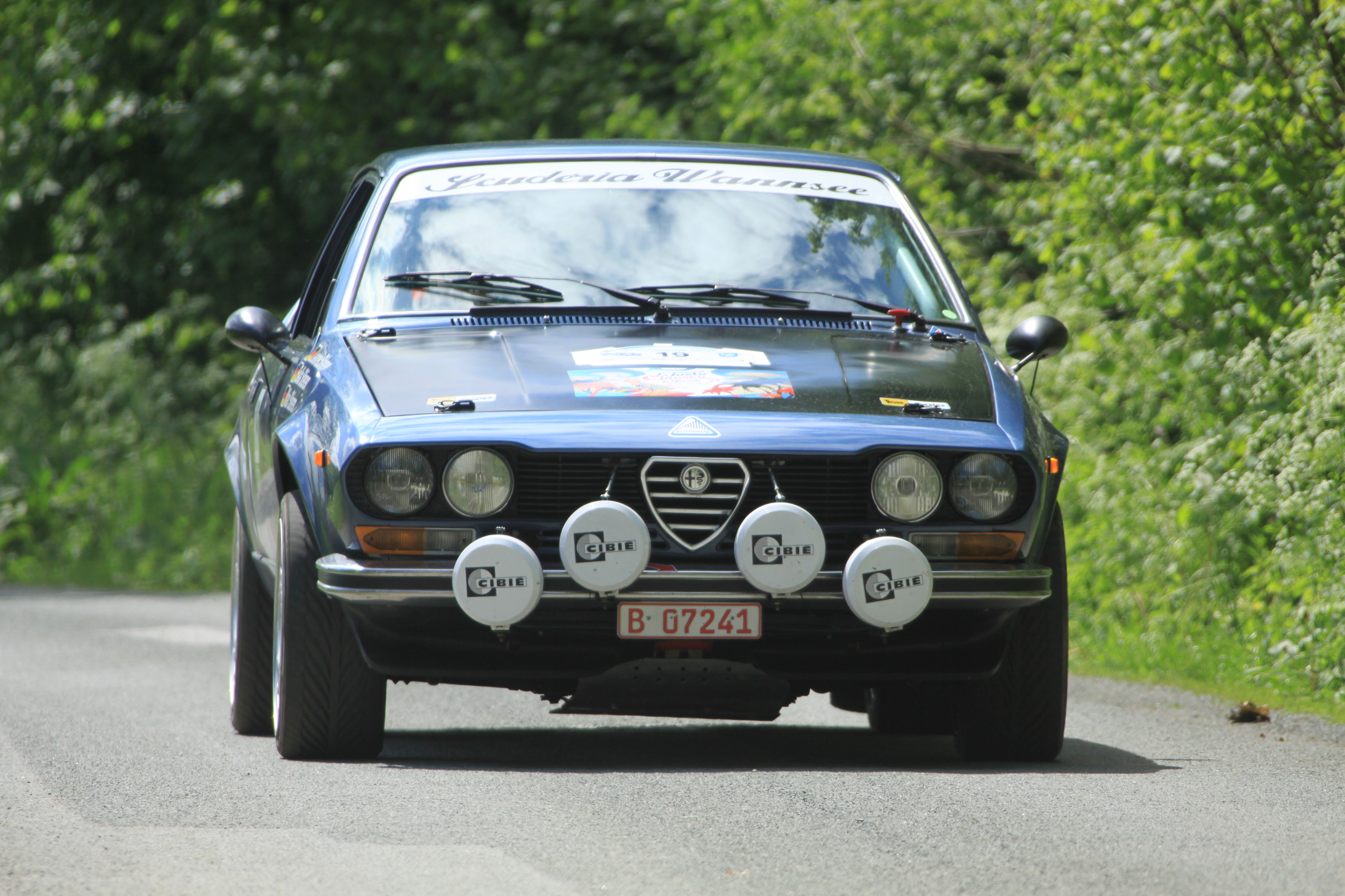 Alfetta117.JPG