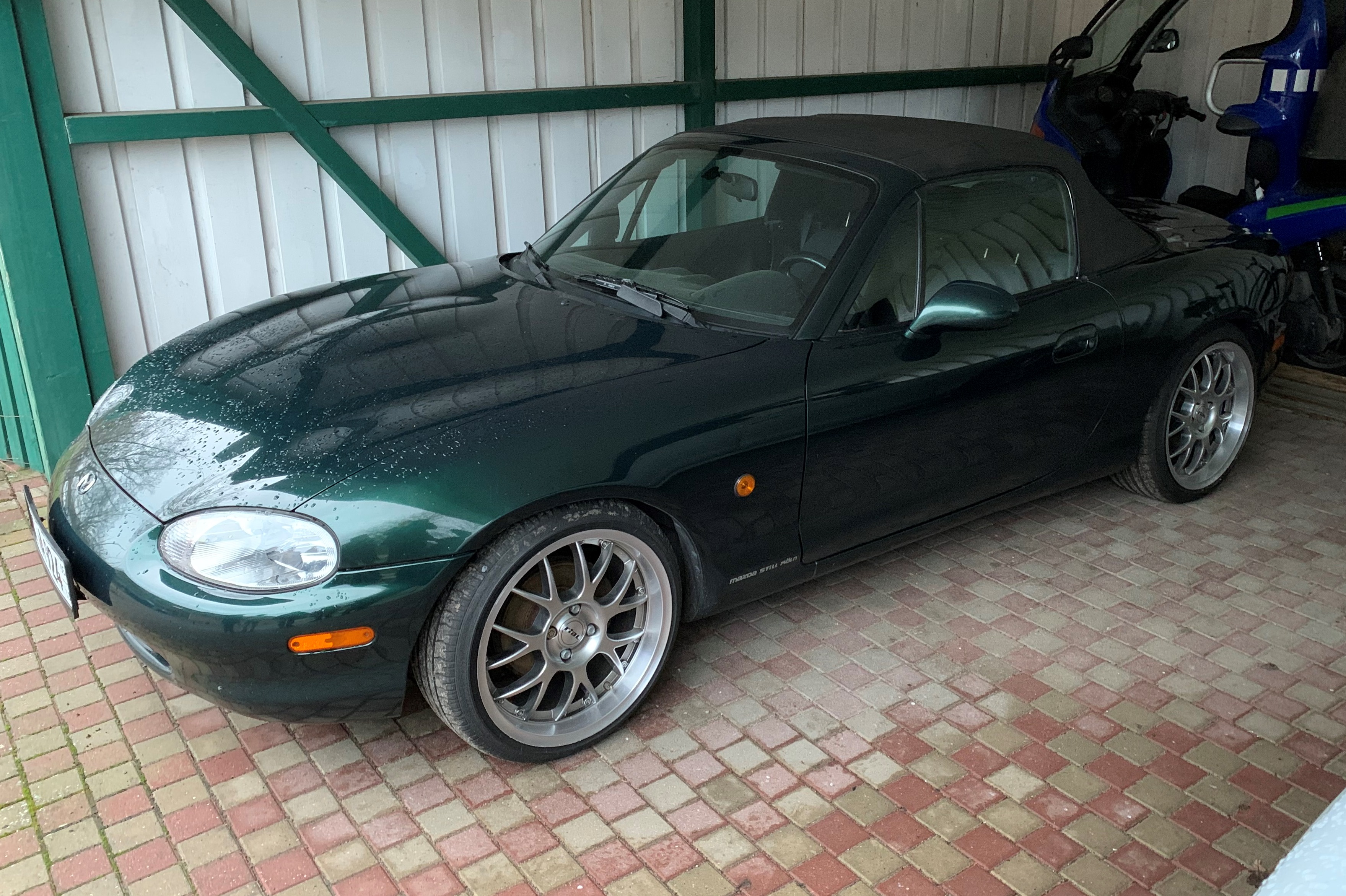 MX5_1106.jpeg